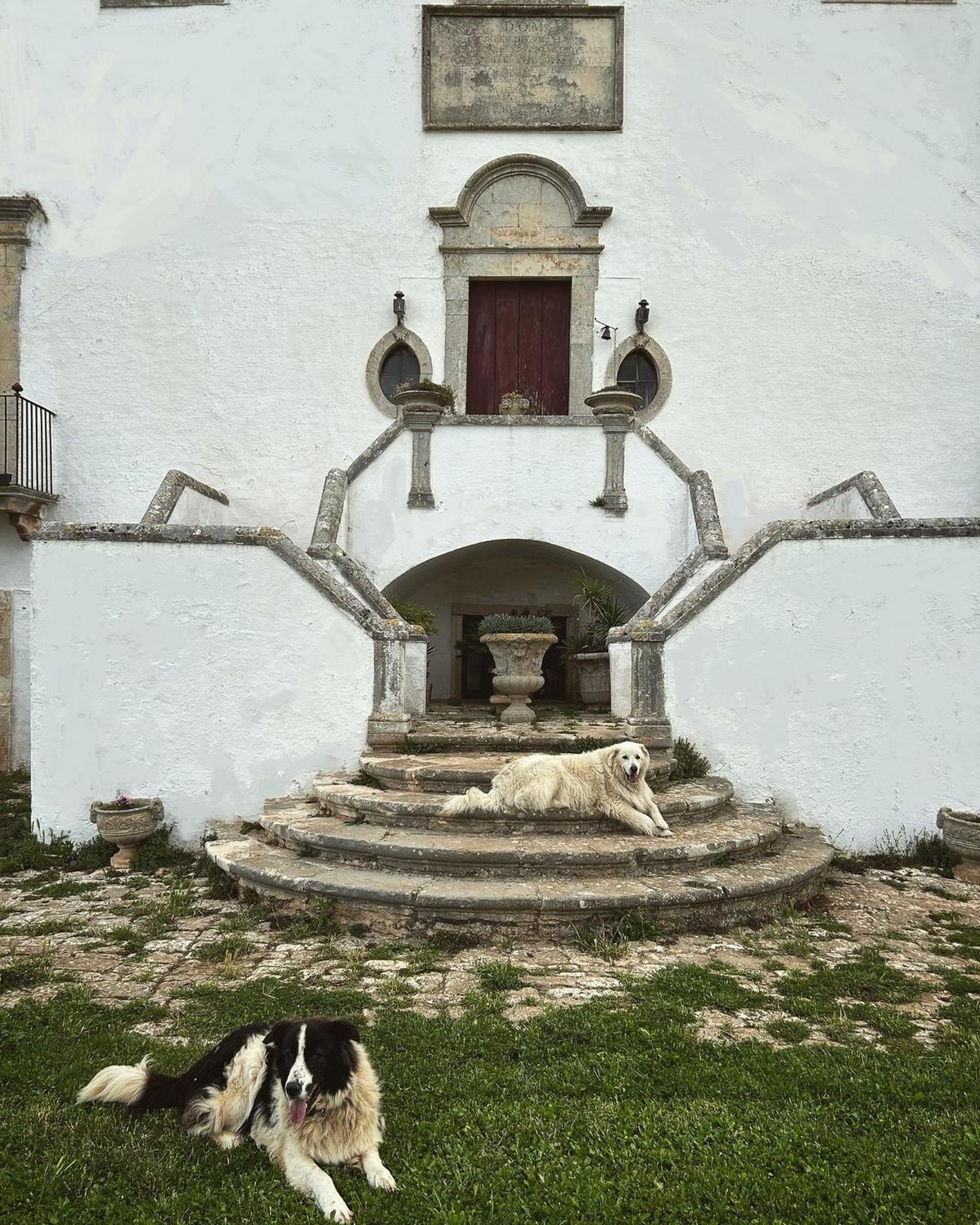Masseria Murgia Albanese โนซิ ภายนอก รูปภาพ