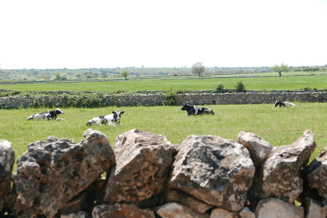 Masseria Murgia Albanese โนซิ ภายนอก รูปภาพ