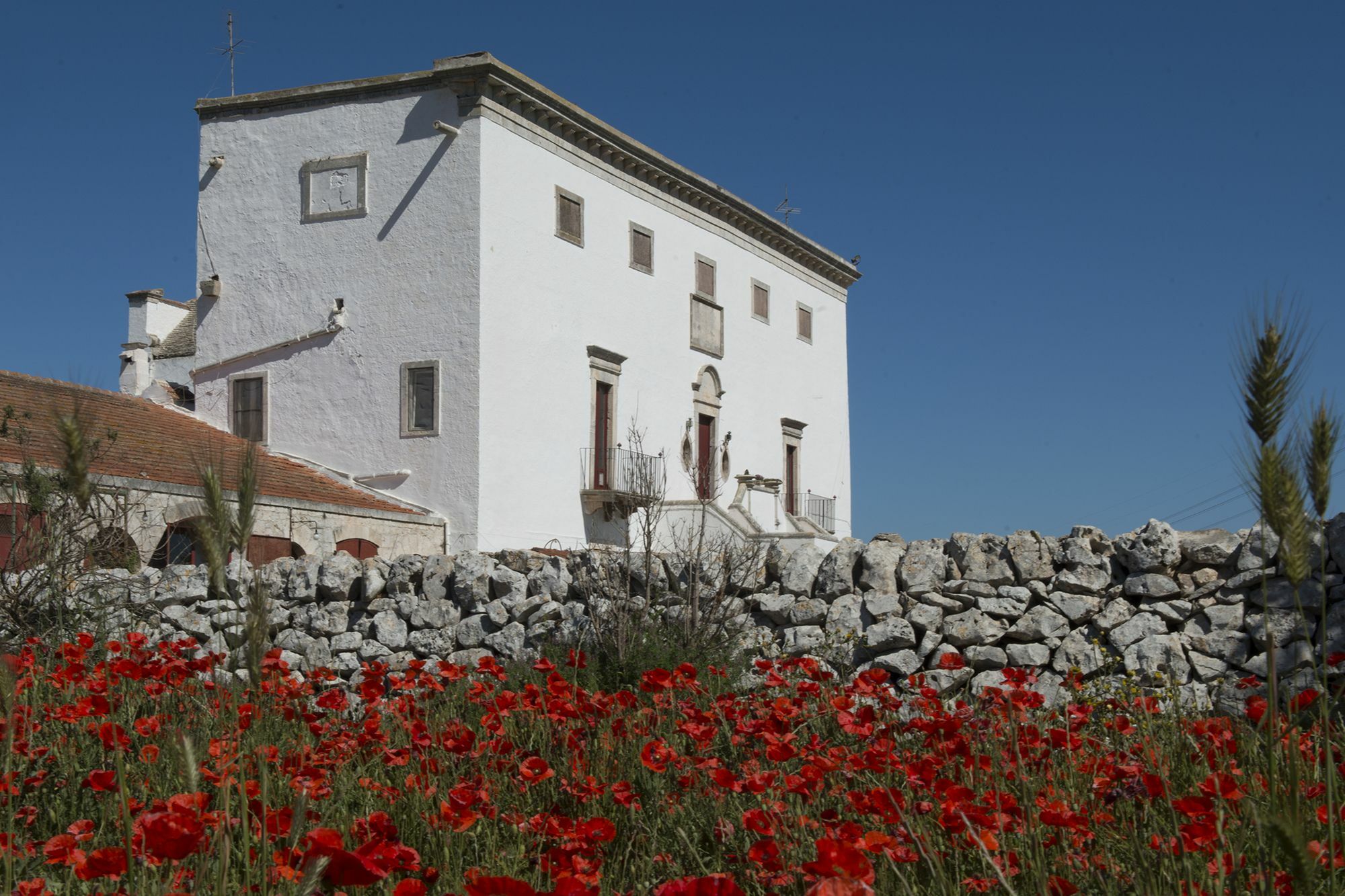 Masseria Murgia Albanese โนซิ ภายนอก รูปภาพ